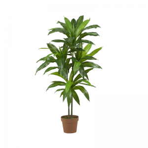 Péinteanna tadhaill fíor(dhíon&amuigh faoin aer)